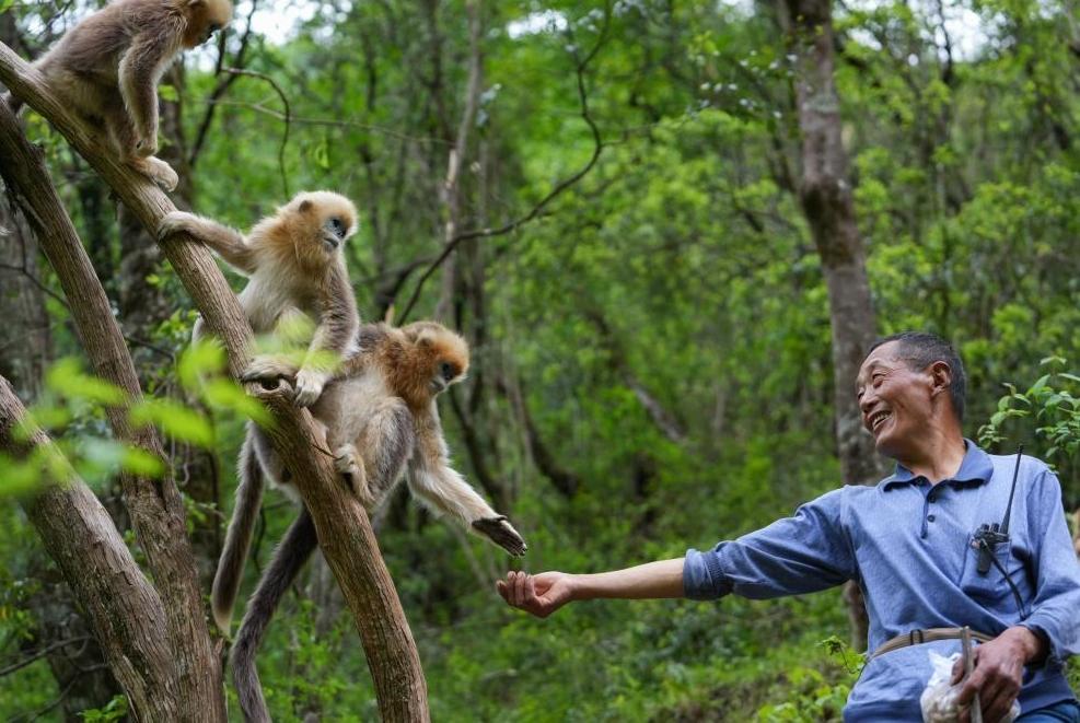 首次立法！國家公園筑起“法治屏障”